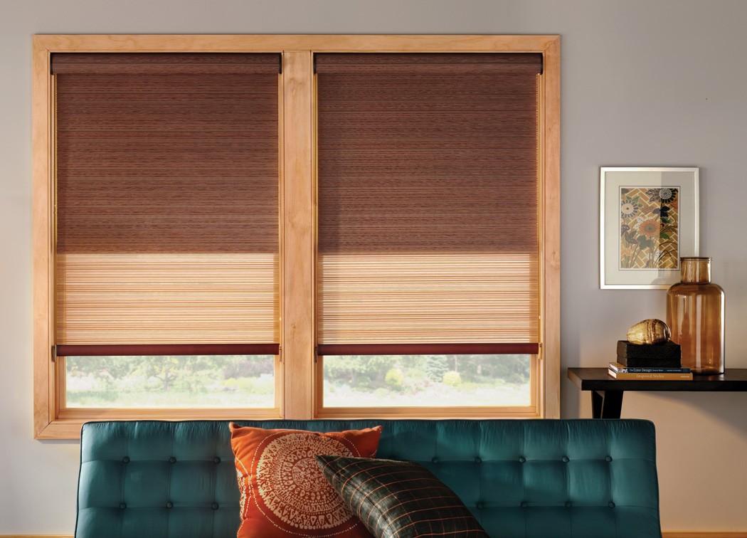 Dual Roller Shades Sheer Fabric Blackout Fabric