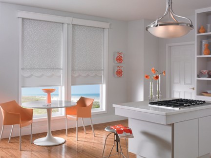 Dual Roller Shades - Modern Day Decor Style