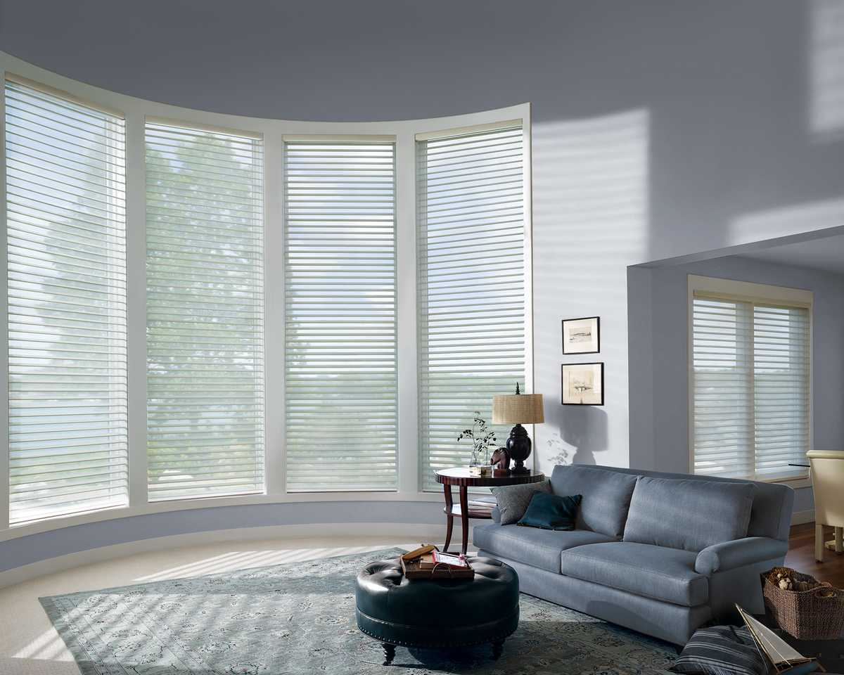 Silhouette Shades Great Room window shades - Maximize your views through the windows