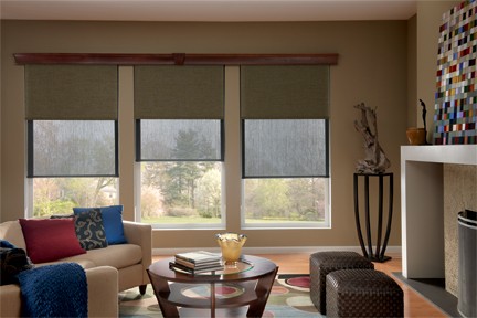 Screen Shades for windows – Dual Screen Shades offer both view through and privacy