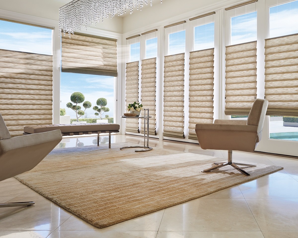 Modern Roman Shades in the Living Room