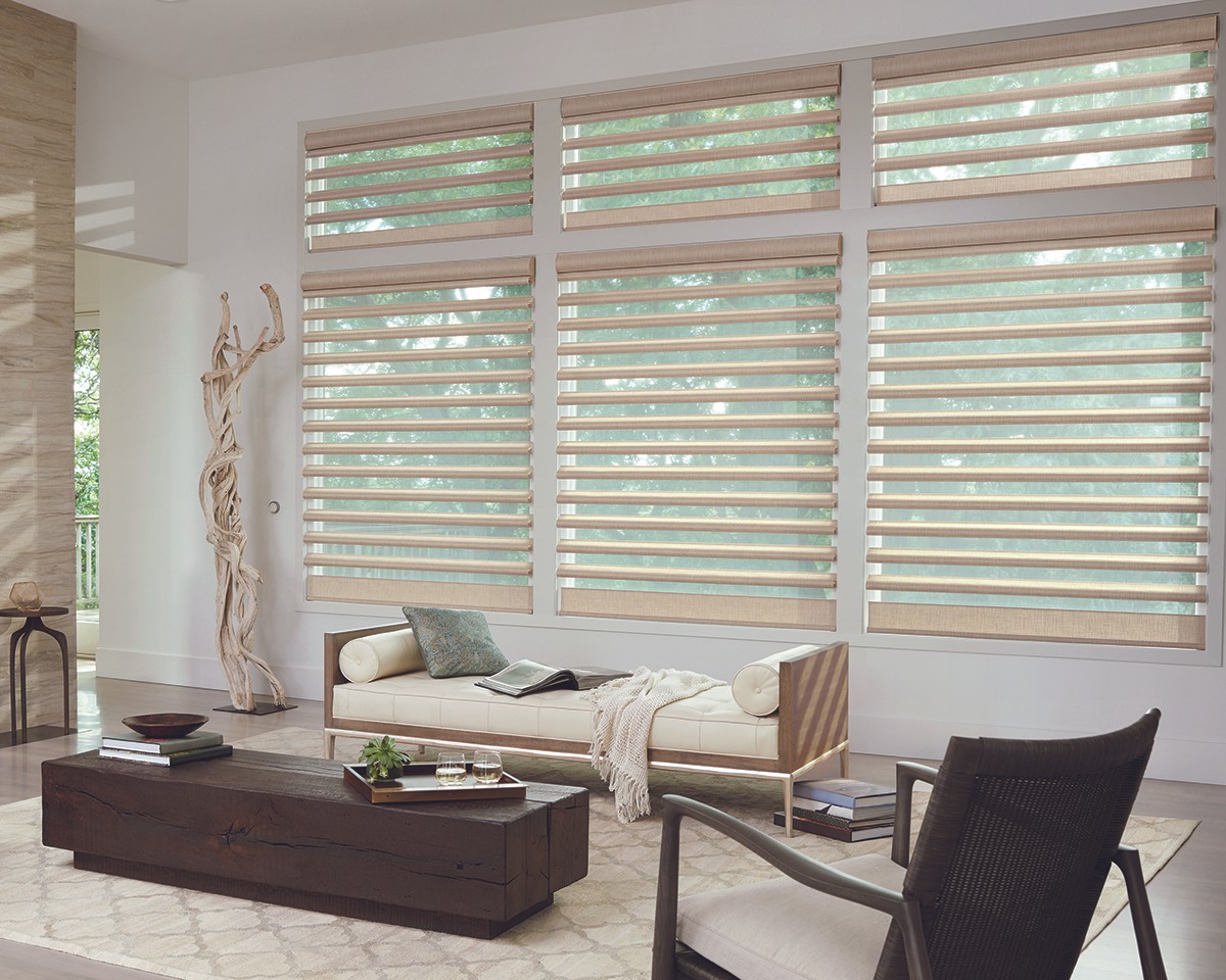 Pirouette shades for living room windows