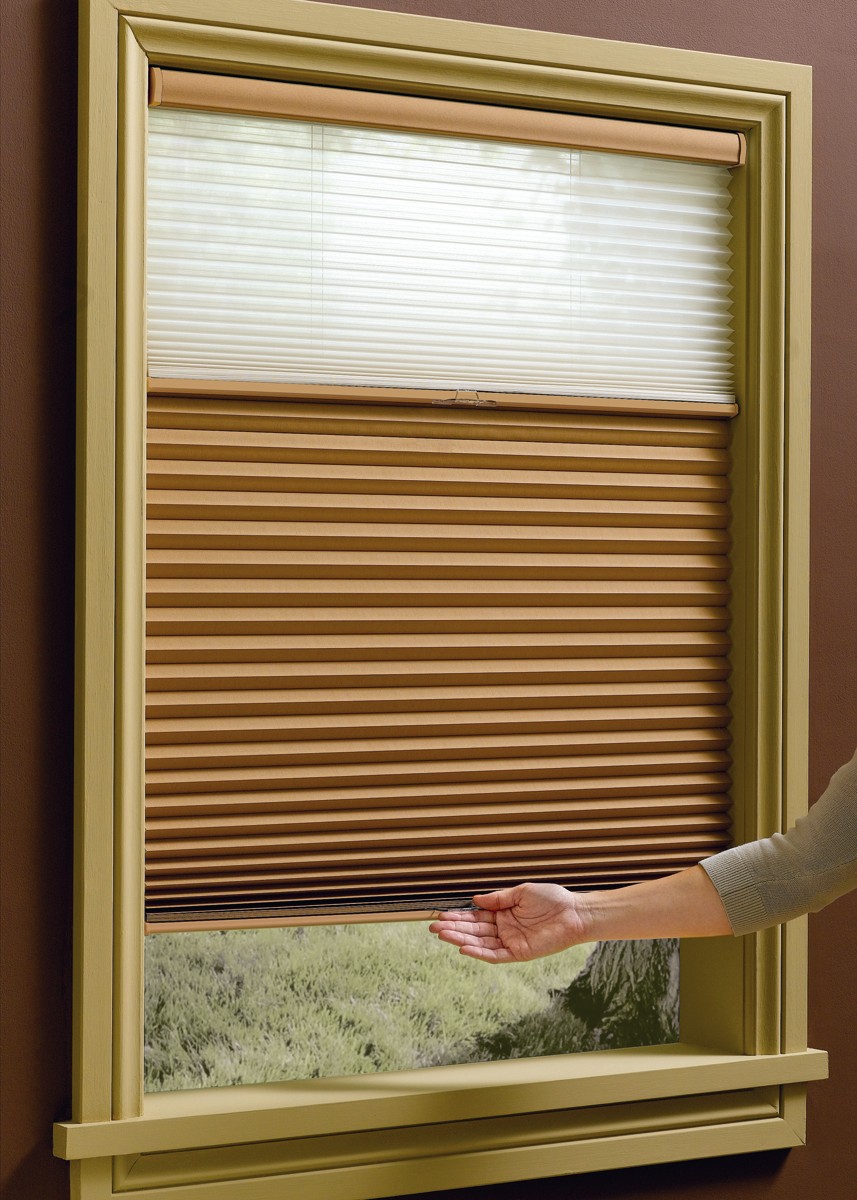 3 Must-Know Facts about Top-Down Bottom-Up Blinds